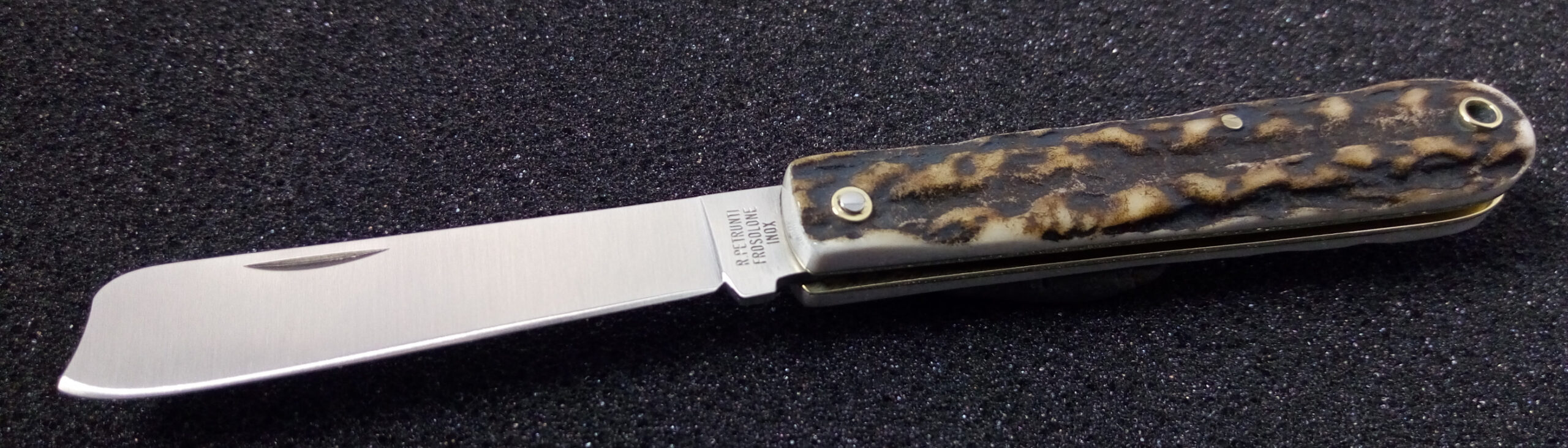 Mozzetta 15 cm Deer horn