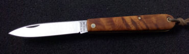 Sfilato 15 Cm Tuia